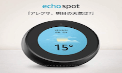 Echo Spot