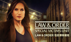 LAW & ORDER：性犯罪特捜班 シーズン22