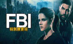 FBI：特別捜査班 シーズン4 後半